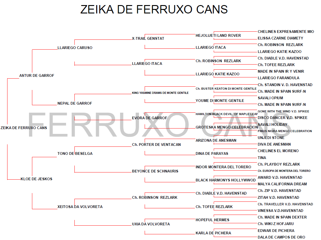 Genealofico Zeika