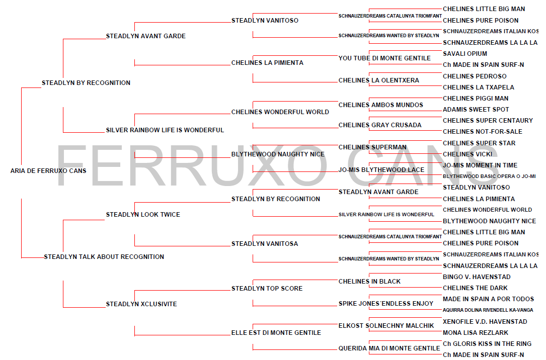 Genealogico Aria