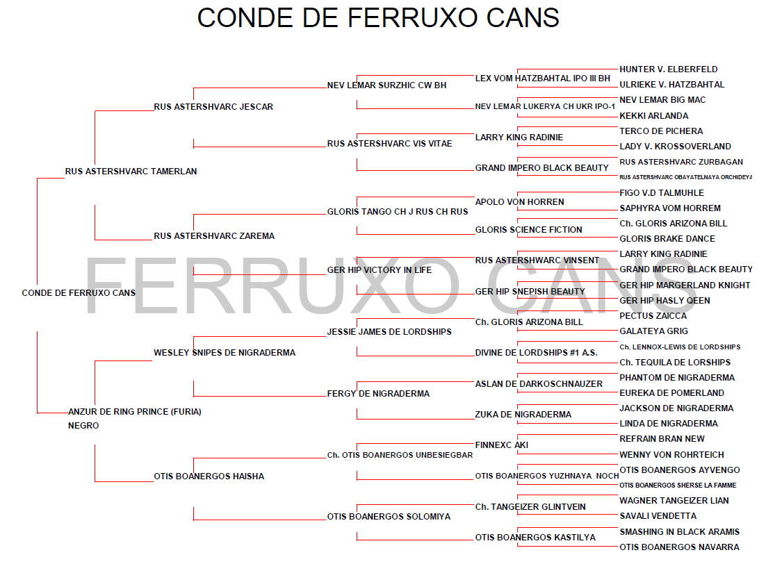 Genealogico Conde