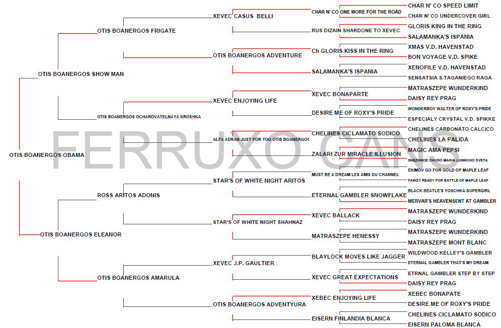 Genealogico Otis