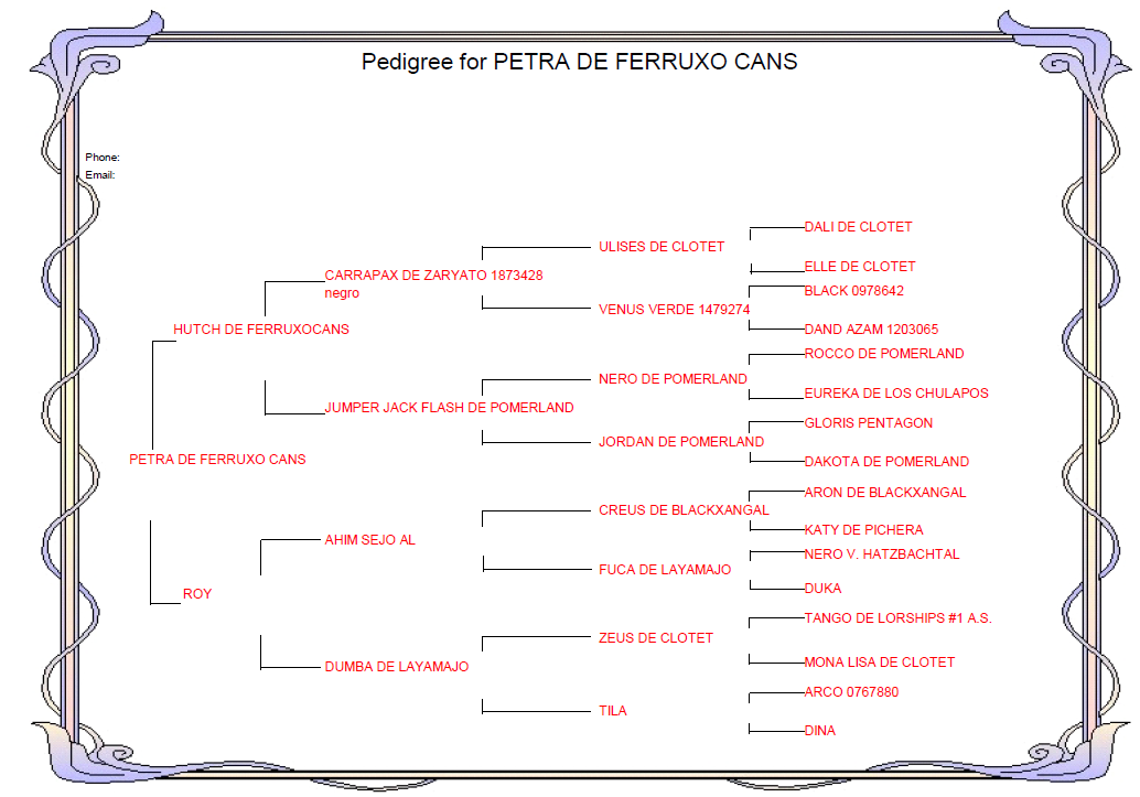 Genealogico Schnauzer Petra