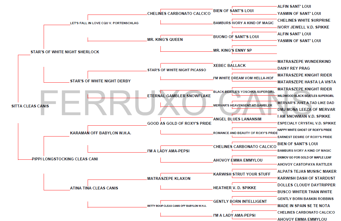 Genealogico Sitta