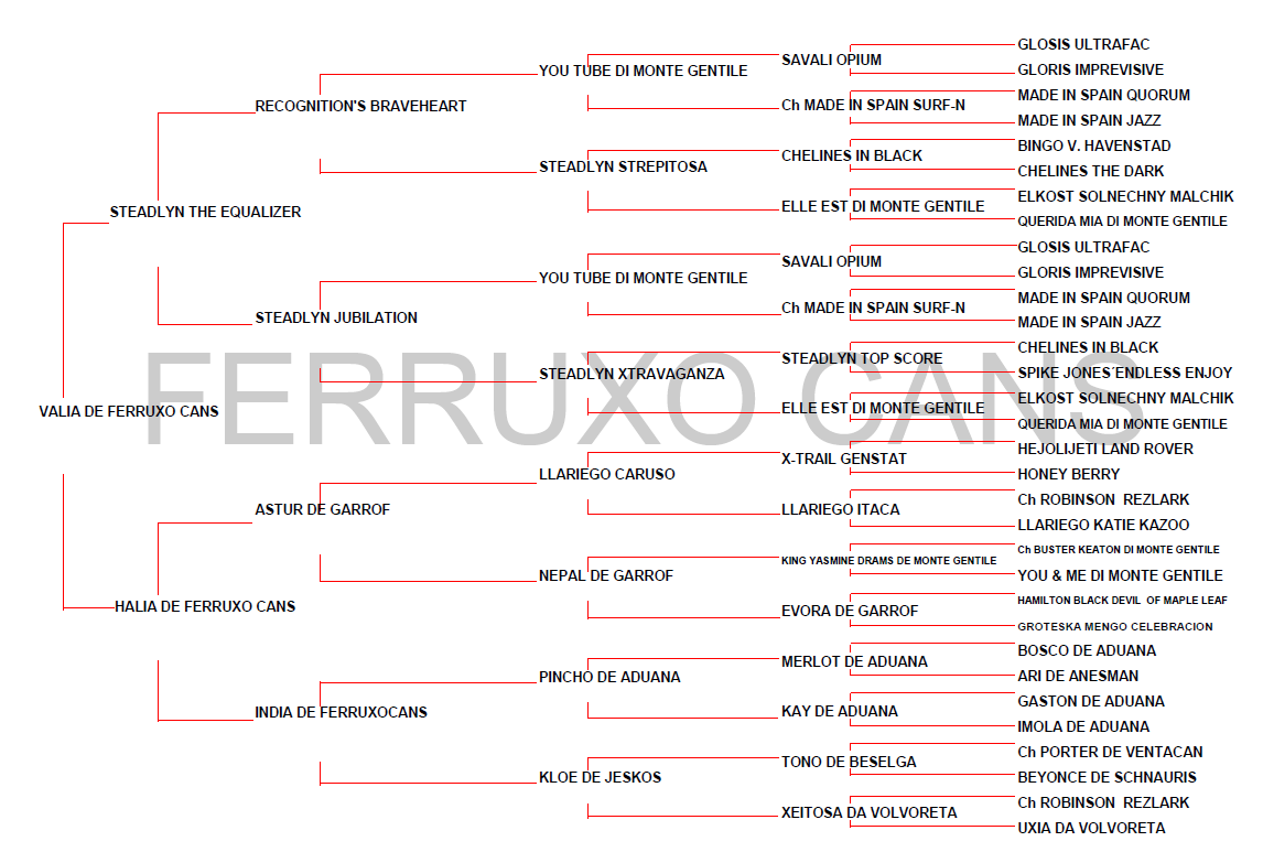 Genealogico Valia