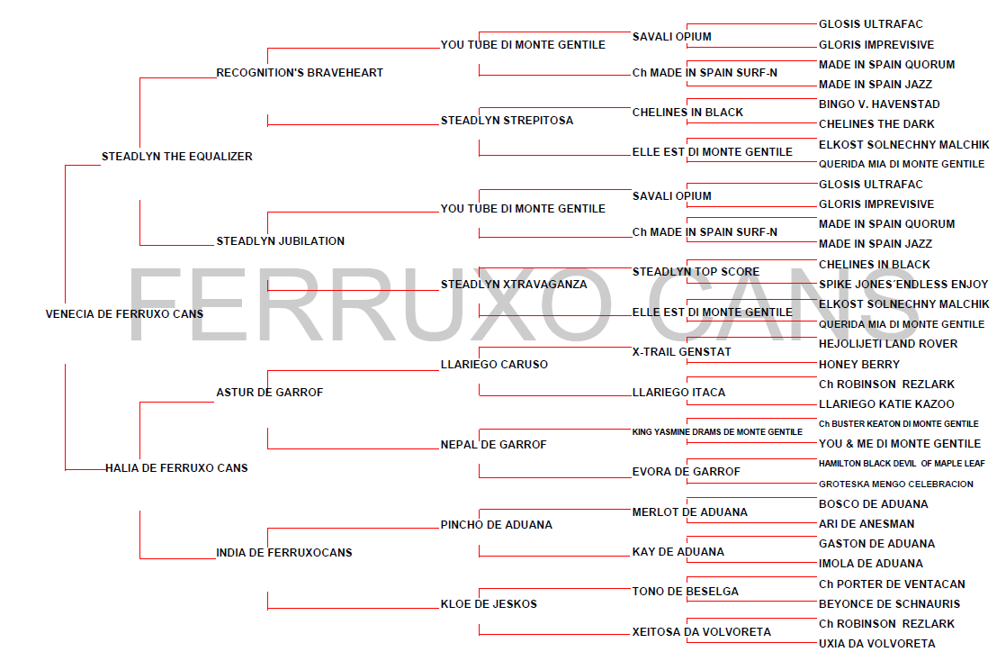 Genealogico Venecia