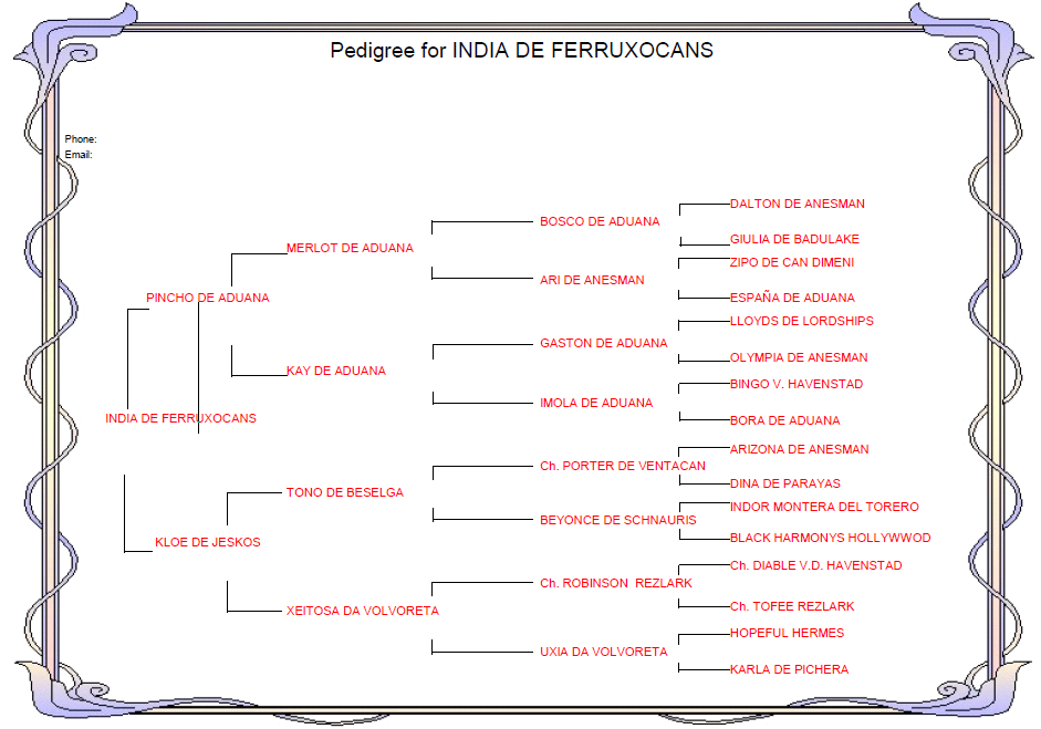 Genealogico de India