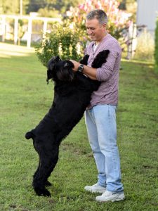 Foto Criadero de Schnauzer Gigante