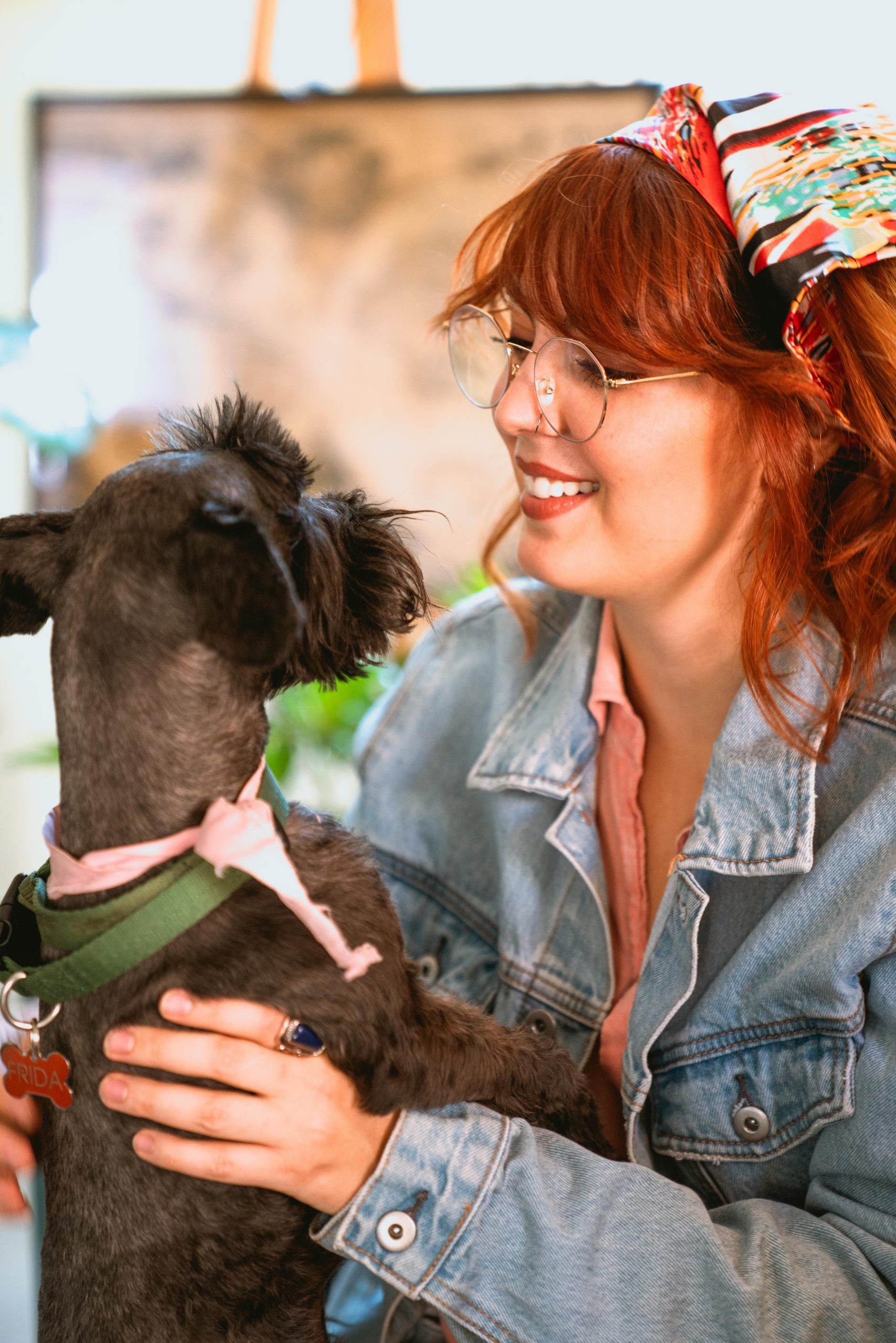 Schnauzers: ¿cómo elegir el criador adecuado?